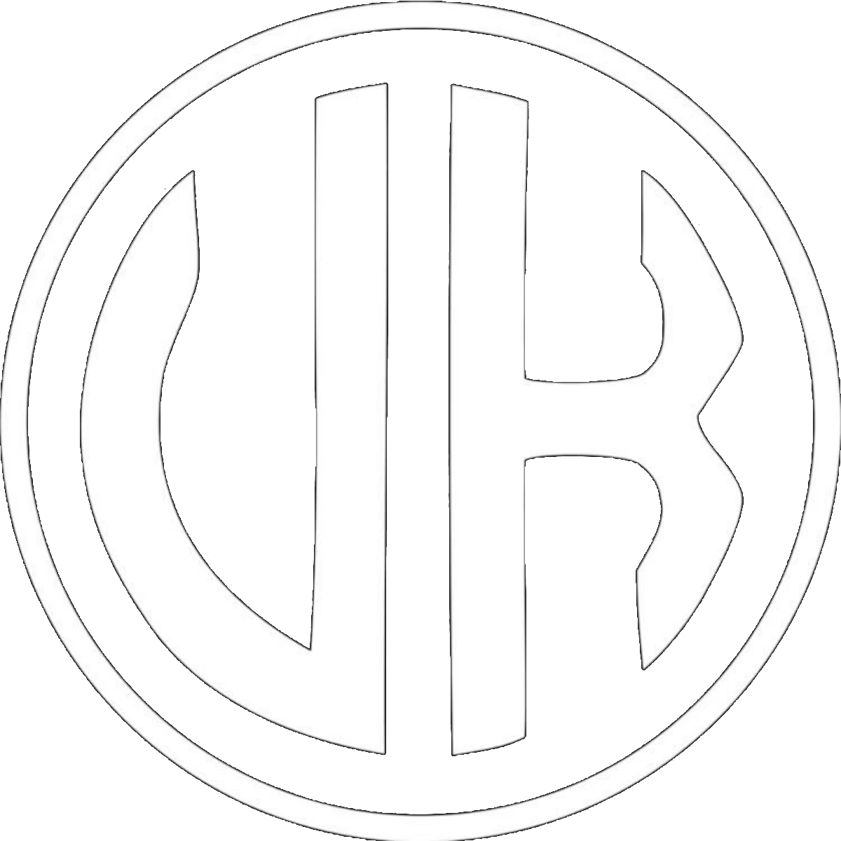 Singer Songwriter Vegard Kopperud