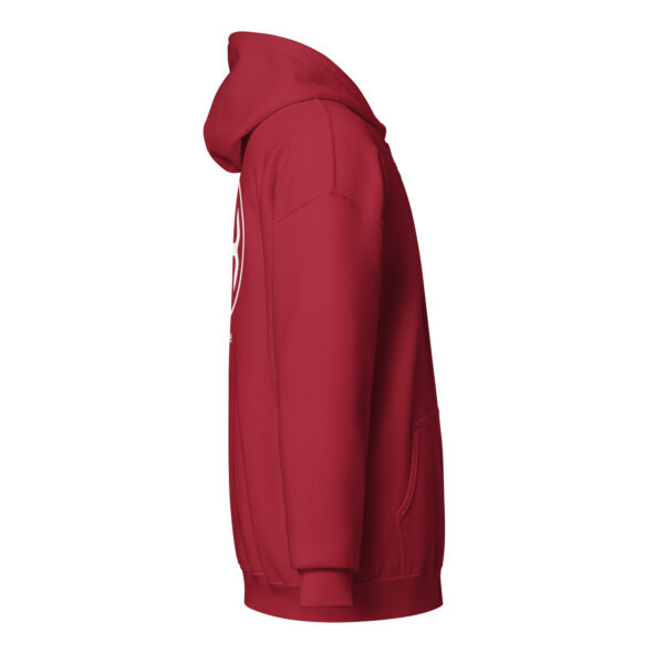 Unisex zip-hoodie #plassile